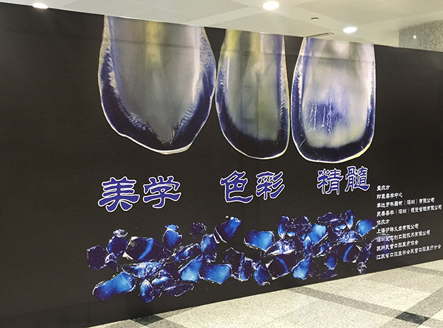 諾億租賃全程助力——上海灘美學盛宴