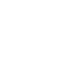 核心業務：管理軟件服務